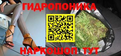 гидра Будённовск