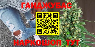 гидра Будённовск