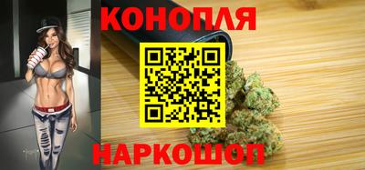 гидра Будённовск