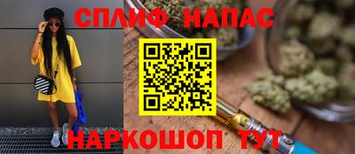 гидра Будённовск