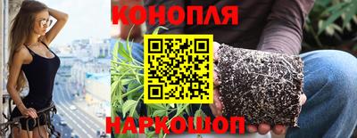 гидра Будённовск