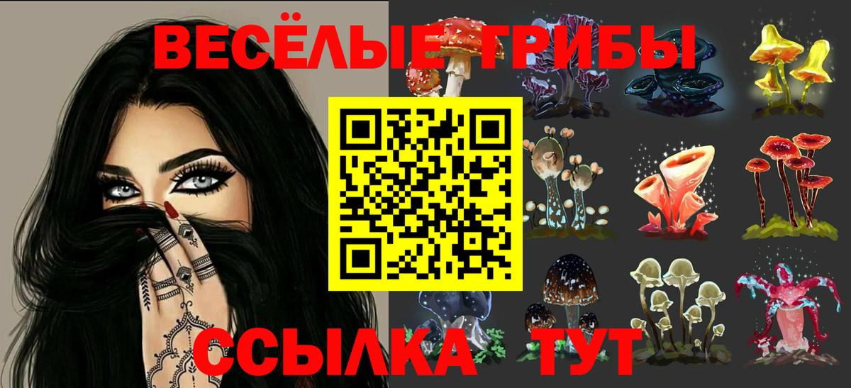 Феодосия  Галлюциногенные грибы Psilocybe  где продают   Вход с VPN 