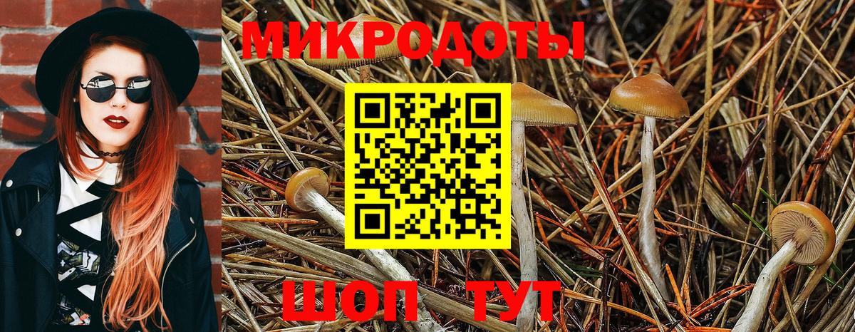 Псилоцибиновые грибы GOLDEN TEACHER Феодосия